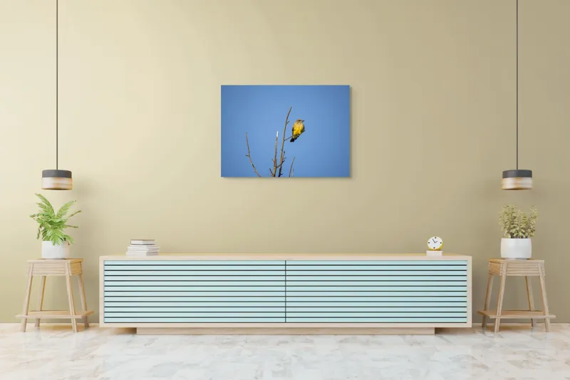 Tablou Canvas, "Pasărea solitară pe cerul senin", Pasăre, Ramură, Cer, Albastru, Zbor, Natură, Liniște, Frumusețe., 100 x 70 cm – poza 4