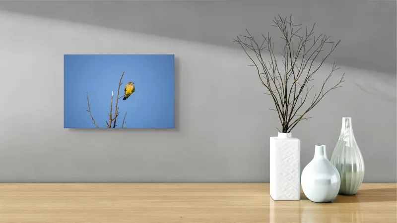 Tablou Canvas, "Pasărea solitară pe cerul senin", Pasăre, Ramură, Cer, Albastru, Zbor, Natură, Liniște, Frumusețe., 39 x 26 cm – poza 8