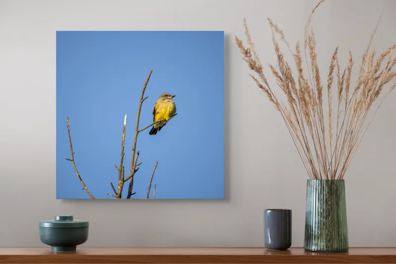 Tablou Canvas, "Pasărea solitară pe cerul senin", Pasăre, Ramură, Cer, Albastru, Zbor, Natură, Liniște, Frumusețe., 50 x 50 cm – poza 4