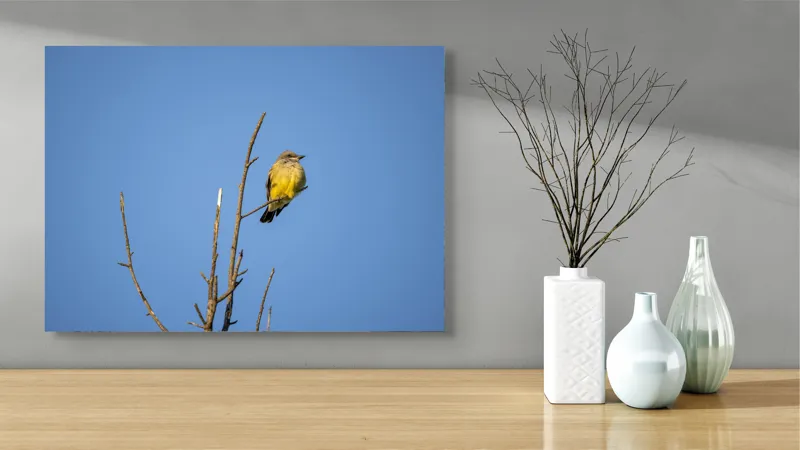 Tablou Canvas, "Pasărea solitară pe cerul senin", Pasăre, Ramură, Cer, Albastru, Zbor, Natură, Liniște, Frumusețe., 70 x 50 cm – poza 3