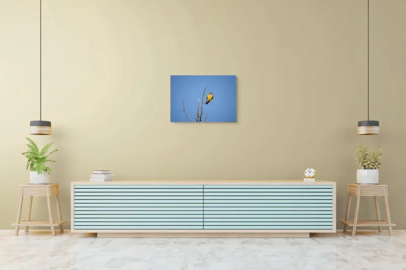 Tablou Canvas, "Pasărea solitară pe cerul senin", Pasăre, Ramură, Cer, Albastru, Zbor, Natură, Liniște, Frumusețe., 70 x 50 cm – poza 7