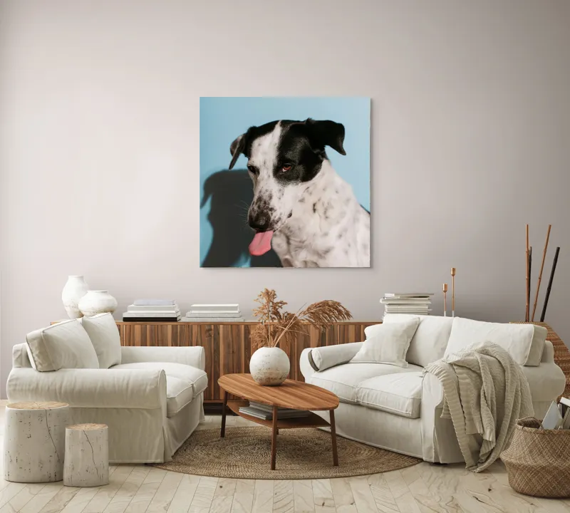 Tablou Canvas, "Câine amuzant cu fundal albastru", Câine, Limbă, Fundal Albastru, Umbră, Blană Albă, Pete Negre, Urechi Îndoite, Nas Negru, Privire Curioasă, 100 x 100 cm – poza 3