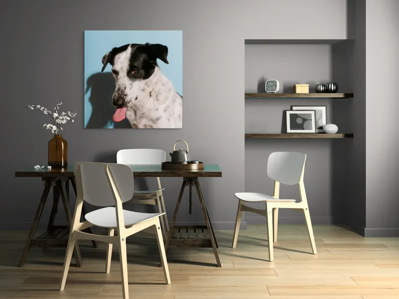 Tablou Canvas, "Câine amuzant cu fundal albastru", Câine, Limbă, Fundal Albastru, Umbră, Blană Albă, Pete Negre, Urechi Îndoite, Nas Negru, Privire Curioasă, 100 x 100 cm – poza 6