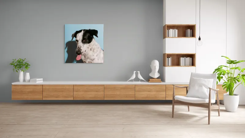 Tablou Canvas, "Câine amuzant cu fundal albastru", Câine, Limbă, Fundal Albastru, Umbră, Blană Albă, Pete Negre, Urechi Îndoite, Nas Negru, Privire Curioasă, 100 x 100 cm – poza 8