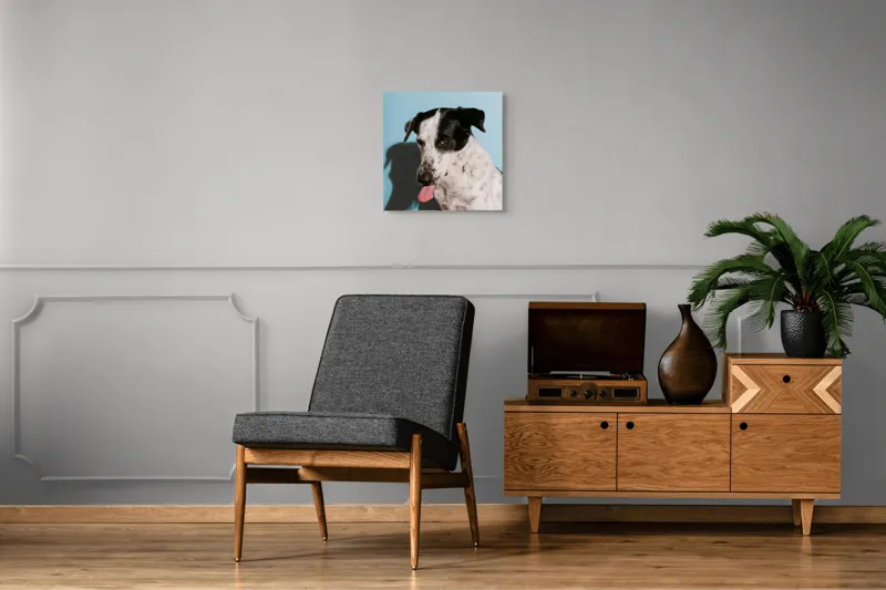 Tablou Canvas, "Câine amuzant cu fundal albastru", Câine, Limbă, Fundal Albastru, Umbră, Blană Albă, Pete Negre, Urechi Îndoite, Nas Negru, Privire Curioasă, 50 x 50 cm – poza 6