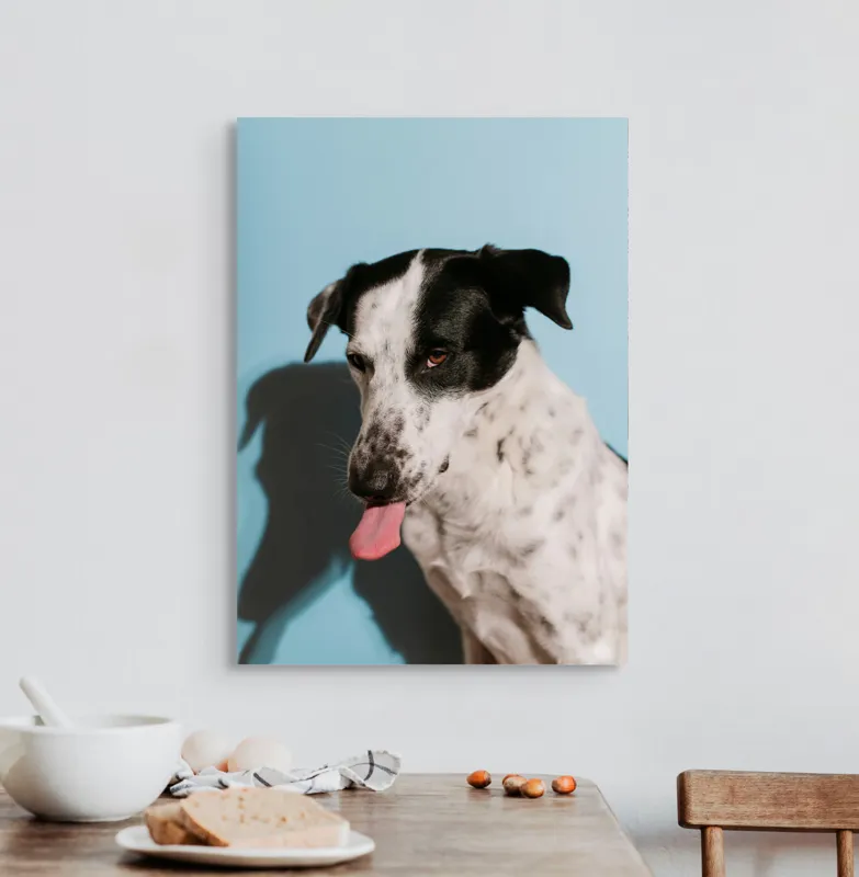 Tablou Canvas, "Câine amuzant cu fundal albastru", Câine, Limbă, Fundal Albastru, Umbră, Blană Albă, Pete Negre, Urechi Îndoite, Nas Negru, Privire Curioasă, 50 x 70 cm – poza 3