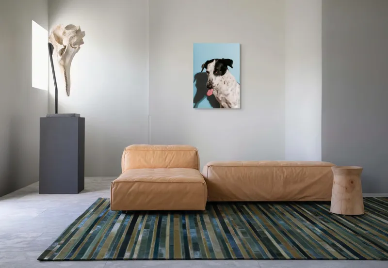 Tablou Canvas, "Câine amuzant cu fundal albastru", Câine, Limbă, Fundal Albastru, Umbră, Blană Albă, Pete Negre, Urechi Îndoite, Nas Negru, Privire Curioasă, 50 x 70 cm – poza 7