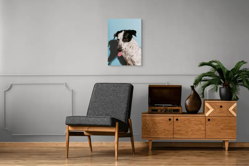 Tablou Canvas, "Câine amuzant cu fundal albastru", Câine, Limbă, Fundal Albastru, Umbră, Blană Albă, Pete Negre, Urechi Îndoite, Nas Negru, Privire Curioasă, 50 x 70 cm – poza 8
