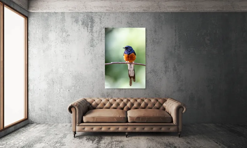 Tablou Canvas, "Visele unui cântăreț colorat", Pasăre, Creangă, Penaj, Colorat, Natură, Verde, Aripi, Coadă, Pene, Foioase, Observație, Frunze., 100 x 150 cm – poza 6
