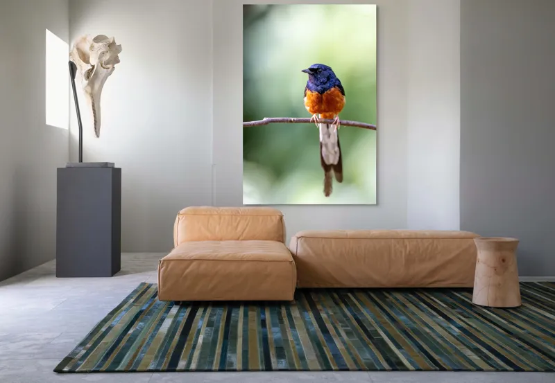 Tablou Canvas, "Visele unui cântăreț colorat", Pasăre, Creangă, Penaj, Colorat, Natură, Verde, Aripi, Coadă, Pene, Foioase, Observație, Frunze., 100 x 150 cm – poza 7