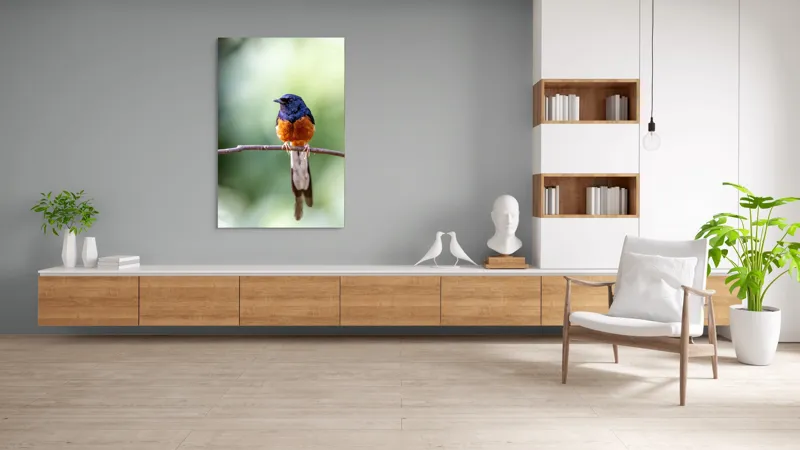 Tablou Canvas, "Visele unui cântăreț colorat", Pasăre, Creangă, Penaj, Colorat, Natură, Verde, Aripi, Coadă, Pene, Foioase, Observație, Frunze., 100 x 150 cm – poza 8