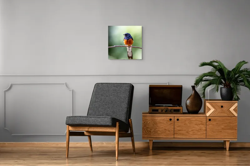 Tablou Canvas, "Visele unui cântăreț colorat", Pasăre, Creangă, Penaj, Colorat, Natură, Verde, Aripi, Coadă, Pene, Foioase, Observație, Frunze., 50 x 50 cm – poza 6