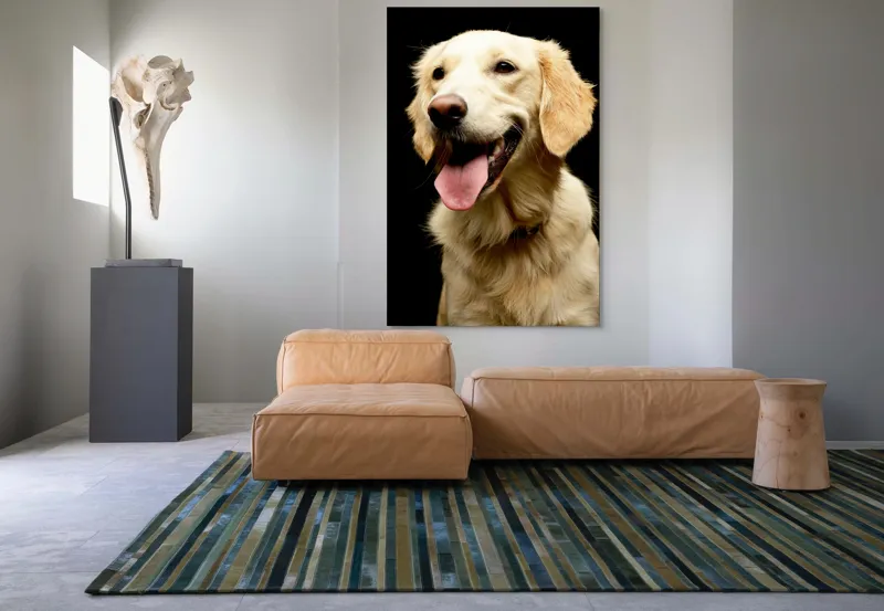 Tablou Canvas, "Aur curgător în blană de câine", 100 x 150 cm – poza 7