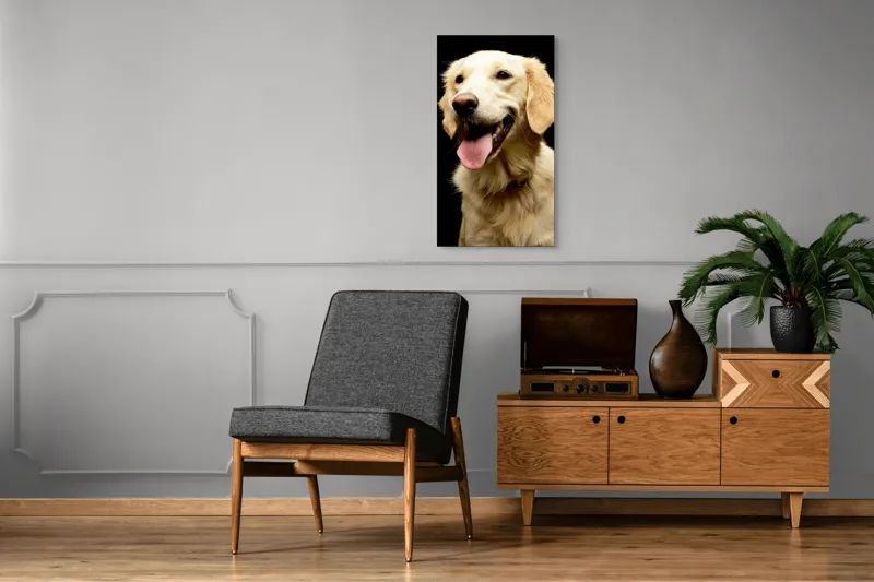 Tablou Canvas, "Aur curgător în blană de câine", 50 x 90 cm – poza 8