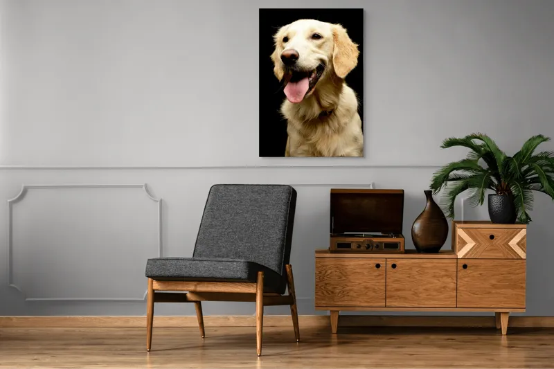 Tablou Canvas, "Aur curgător în blană de câine", 70 x 100 cm – poza 6