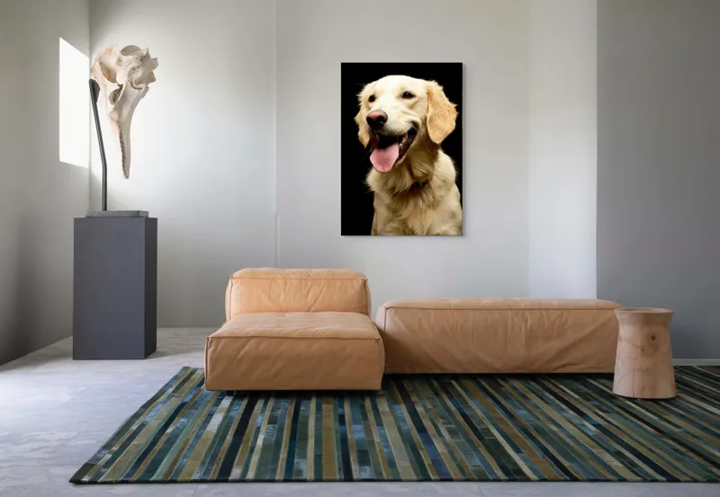 Tablou Canvas, "Aur curgător în blană de câine", 70 x 100 cm – poza 7