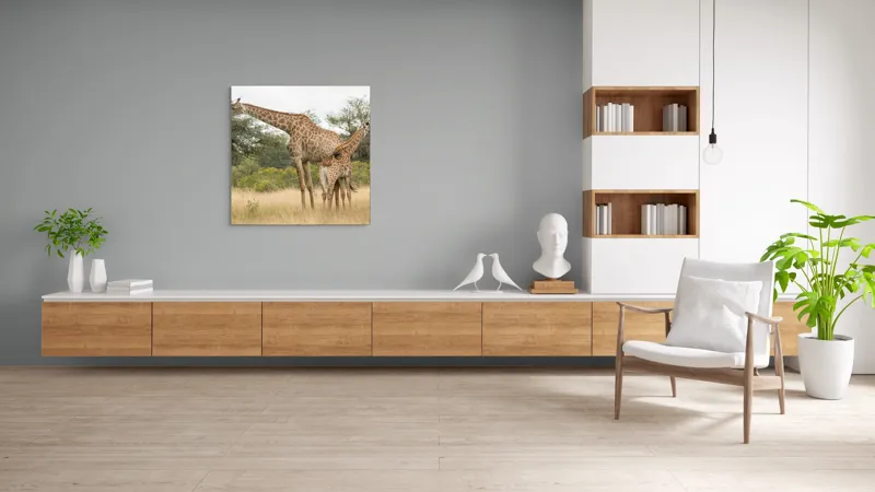 Tablou Canvas, "Girafe pe câmpie africană liniștită", Giraffe, Copaci, Savana, Mamifere, Natura, Cer, Vegetatie, Diverse., 100 x 100 cm – poza 8