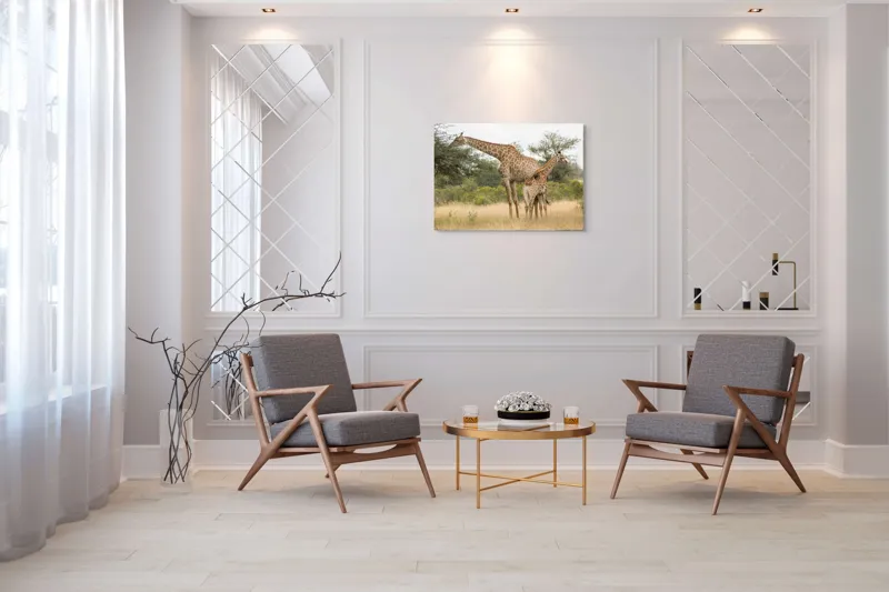 Tablou Canvas, "Girafe pe câmpie africană liniștită", Giraffe, Copaci, Savana, Mamifere, Natura, Cer, Vegetatie, Diverse., 100 x 70 cm – poza 5