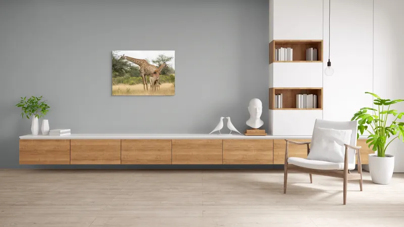 Tablou Canvas, "Girafe pe câmpie africană liniștită", Giraffe, Copaci, Savana, Mamifere, Natura, Cer, Vegetatie, Diverse., 100 x 70 cm – poza 6