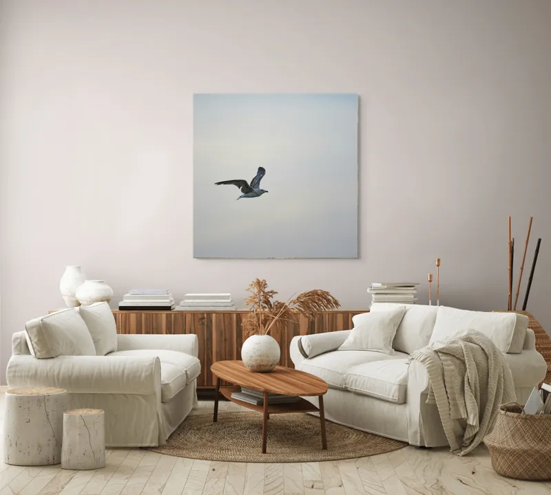 Tablou Canvas, "Pescăruș solitar în zbor lin", Zbor, Libertate, Cer, Pescăruș, Liniște, Vânt, Lumină, Infinit, Natură, Frumusețe, 100 x 100 cm – poza 3