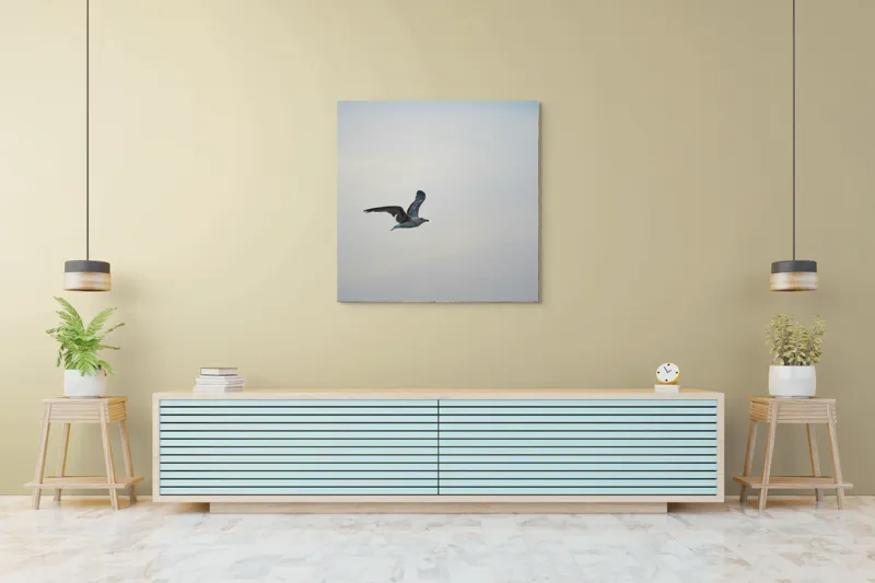 Tablou Canvas, "Pescăruș solitar în zbor lin", Zbor, Libertate, Cer, Pescăruș, Liniște, Vânt, Lumină, Infinit, Natură, Frumusețe, 100 x 100 cm – poza 5
