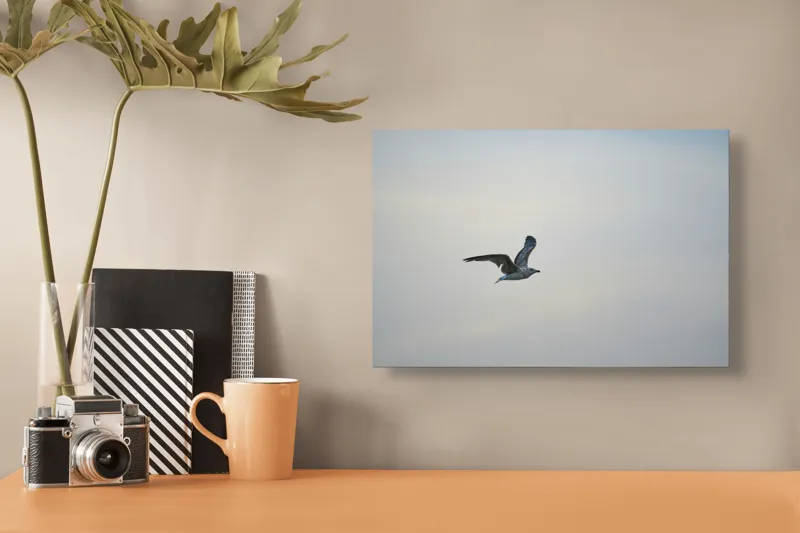 Tablou Canvas, "Pescăruș solitar în zbor lin", Zbor, Libertate, Cer, Pescăruș, Liniște, Vânt, Lumină, Infinit, Natură, Frumusețe, 39 x 26 cm – poza 3