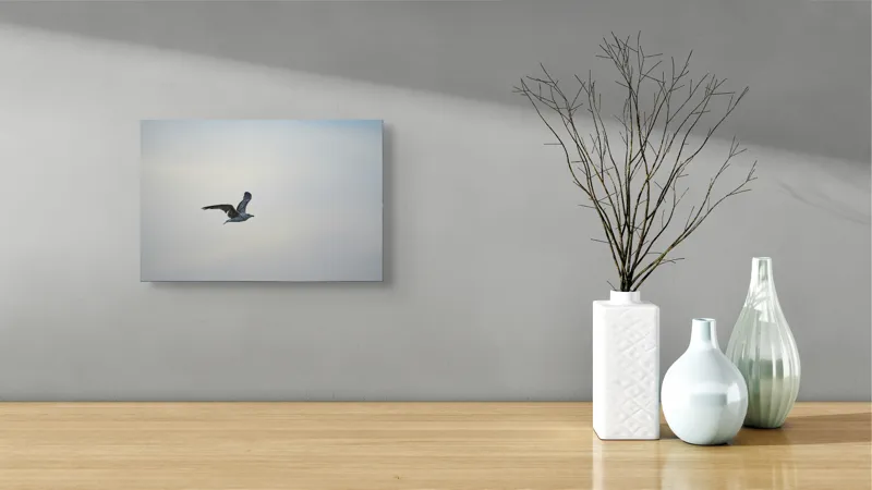 Tablou Canvas, "Pescăruș solitar în zbor lin", Zbor, Libertate, Cer, Pescăruș, Liniște, Vânt, Lumină, Infinit, Natură, Frumusețe, 39 x 26 cm – poza 8