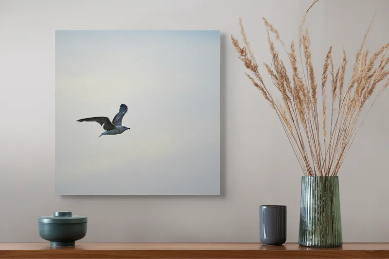 Tablou Canvas, "Pescăruș solitar în zbor lin", Zbor, Libertate, Cer, Pescăruș, Liniște, Vânt, Lumină, Infinit, Natură, Frumusețe, 50 x 50 cm – poza 4