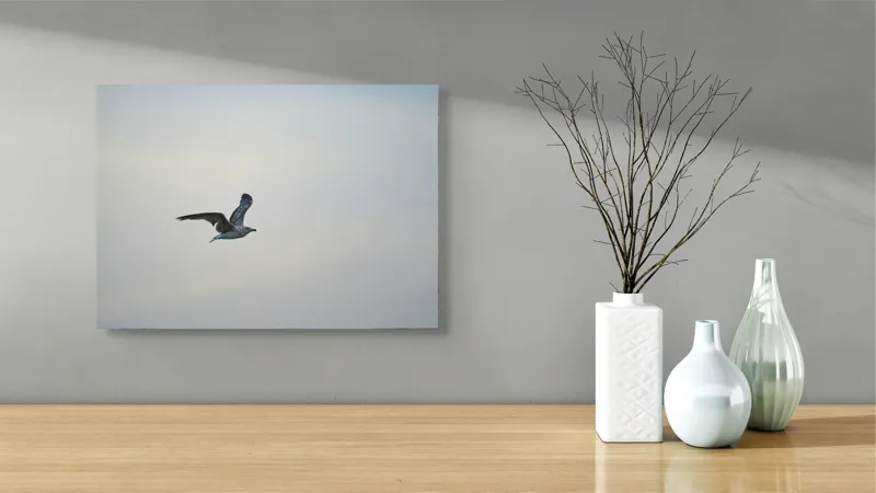 Tablou Canvas, "Pescăruș solitar în zbor lin", Zbor, Libertate, Cer, Pescăruș, Liniște, Vânt, Lumină, Infinit, Natură, Frumusețe, 54 x 39 cm – poza 3
