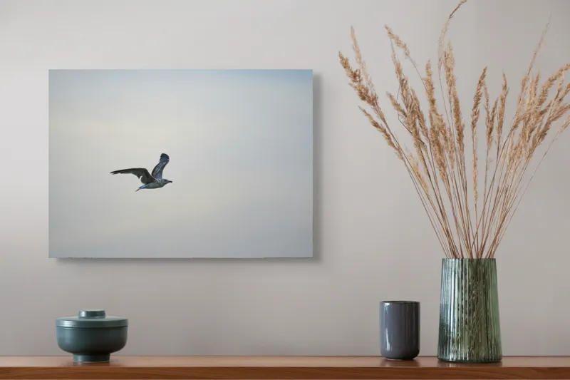 Tablou Canvas, "Pescăruș solitar în zbor lin", Zbor, Libertate, Cer, Pescăruș, Liniște, Vânt, Lumină, Infinit, Natură, Frumusețe, 54 x 39 cm – poza 4