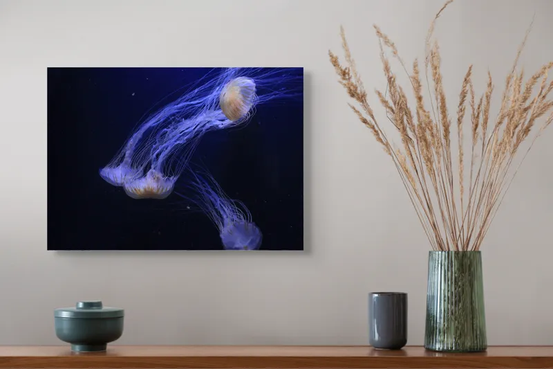 Tablou Canvas, "Dansul grațios al meduzelor fosforescente", Mister, Eleganță, Grație, Lumină, Fluiditate, Dans, Ocean, Delicat, Fascinație, Plutire, 54 x 39 cm – poza 4