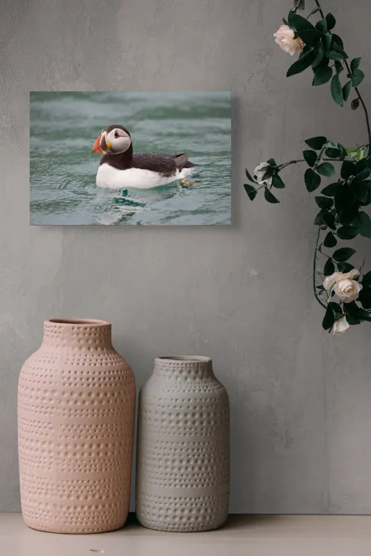 Tablou Canvas, "Puffin solitar pe valurile mării", Puffin, Apă, Aripi, Cioc, Frumos, Plutitor, Natură, Ocean, Penaj., 39 x 26 cm – poza 4