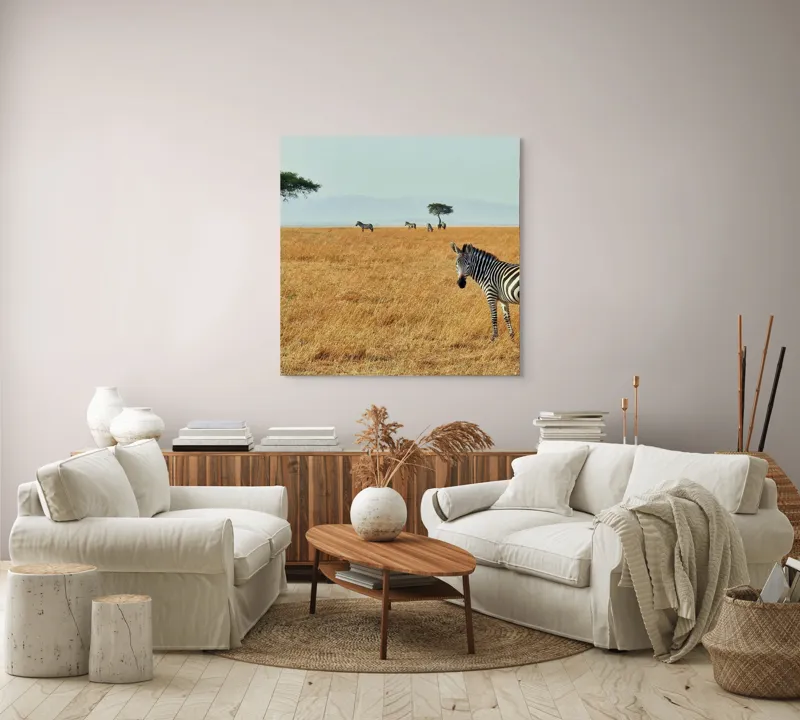 Tablou Canvas, "Zebră în savana africană aurie", Zebră, Savana, Copac, Iarbă, Cer, Distanță, Căldură, Natură, Sălbăticie, 100 x 100 cm – poza 3