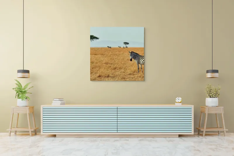 Tablou Canvas, "Zebră în savana africană aurie", Zebră, Savana, Copac, Iarbă, Cer, Distanță, Căldură, Natură, Sălbăticie, 100 x 100 cm – poza 5