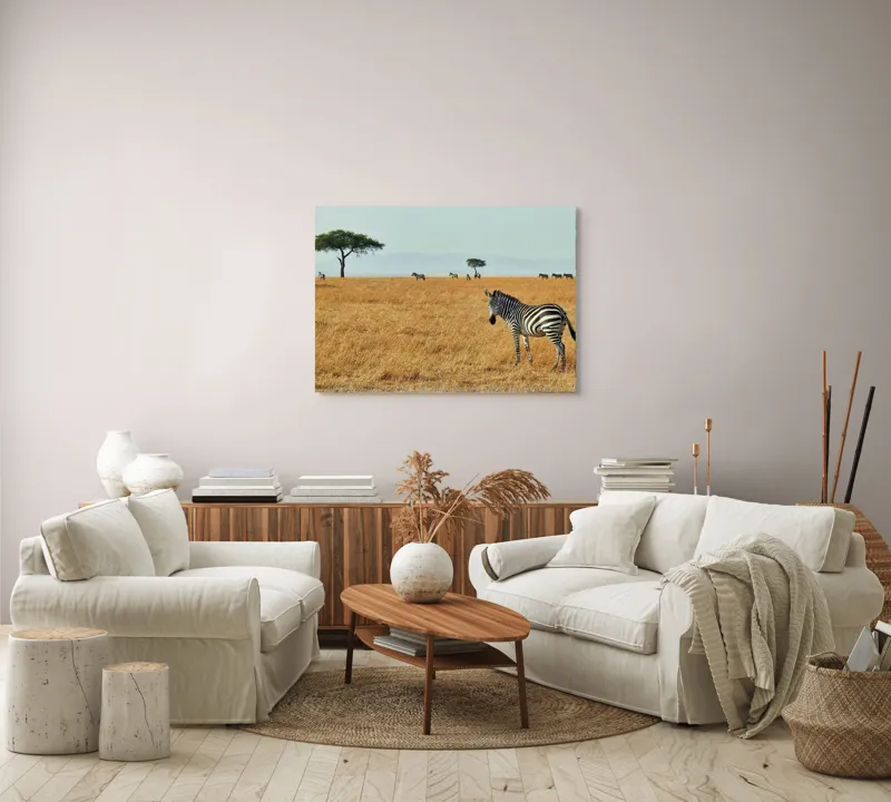 Tablou Canvas, "Zebră în savana africană aurie", Zebră, Savana, Copac, Iarbă, Cer, Distanță, Căldură, Natură, Sălbăticie, 100 x 70 cm – poza 3