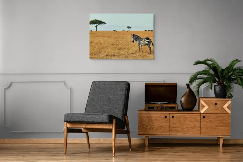 Tablou Canvas, "Zebră în savana africană aurie", Zebră, Savana, Copac, Iarbă, Cer, Distanță, Căldură, Natură, Sălbăticie, 100 x 70 cm – poza 8