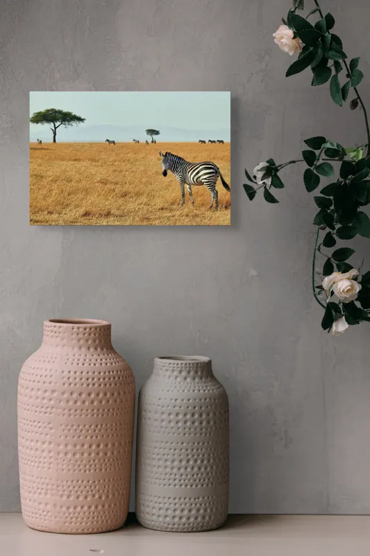 Tablou Canvas, "Zebră în savana africană aurie", Zebră, Savana, Copac, Iarbă, Cer, Distanță, Căldură, Natură, Sălbăticie, 39 x 26 cm – poza 4