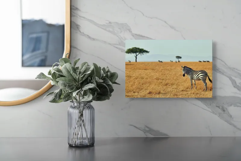 Tablou Canvas, "Zebră în savana africană aurie", Zebră, Savana, Copac, Iarbă, Cer, Distanță, Căldură, Natură, Sălbăticie, 39 x 26 cm – poza 5