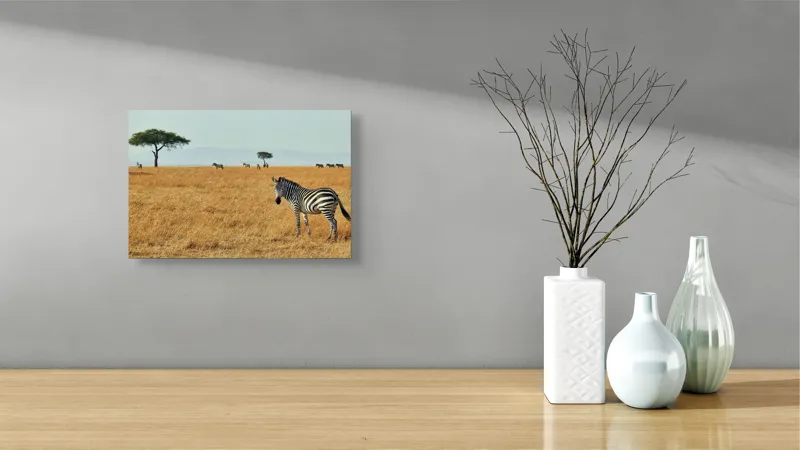 Tablou Canvas, "Zebră în savana africană aurie", Zebră, Savana, Copac, Iarbă, Cer, Distanță, Căldură, Natură, Sălbăticie, 39 x 26 cm – poza 8