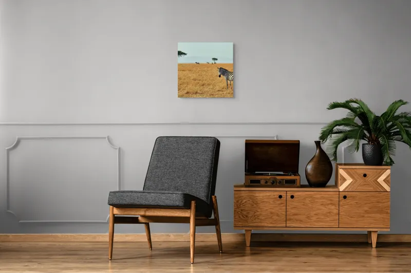 Tablou Canvas, "Zebră în savana africană aurie", Zebră, Savana, Copac, Iarbă, Cer, Distanță, Căldură, Natură, Sălbăticie, 50 x 50 cm – poza 6