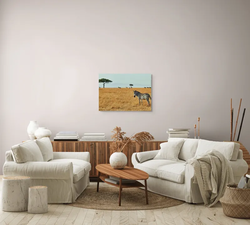 Tablou Canvas, "Zebră în savana africană aurie", Zebră, Savana, Copac, Iarbă, Cer, Distanță, Căldură, Natură, Sălbăticie, 70 x 50 cm – poza 6