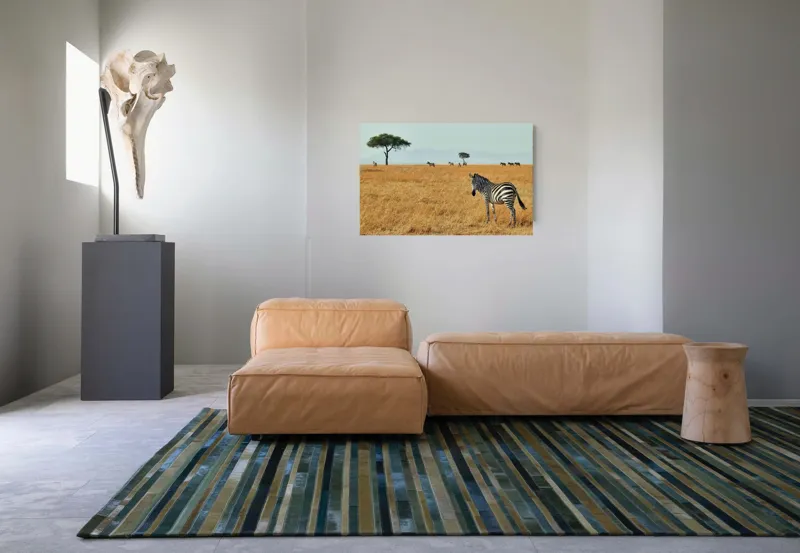 Tablou Canvas, "Zebră în savana africană aurie", Zebră, Savana, Copac, Iarbă, Cer, Distanță, Căldură, Natură, Sălbăticie, 90 x 50 cm – poza 8