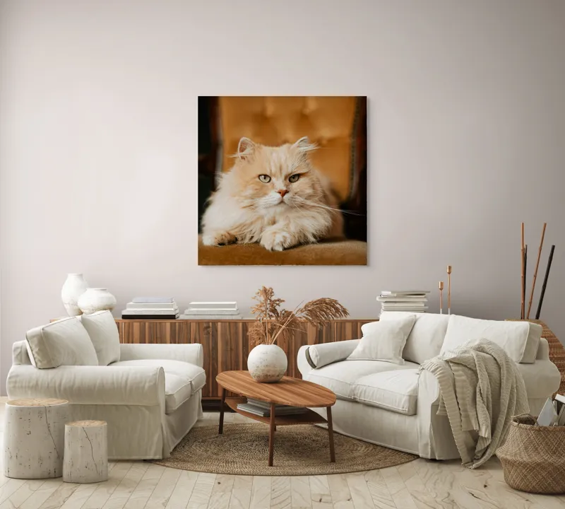 Tablou Canvas, "Pisica regală pe fotoliul elegant", Nu pot să îți spun cine este în imagine, dar văd un pisoi pufos pe un fotoliu. Cum te pot ajuta mai departe?, 100 x 100 cm – poza 3
