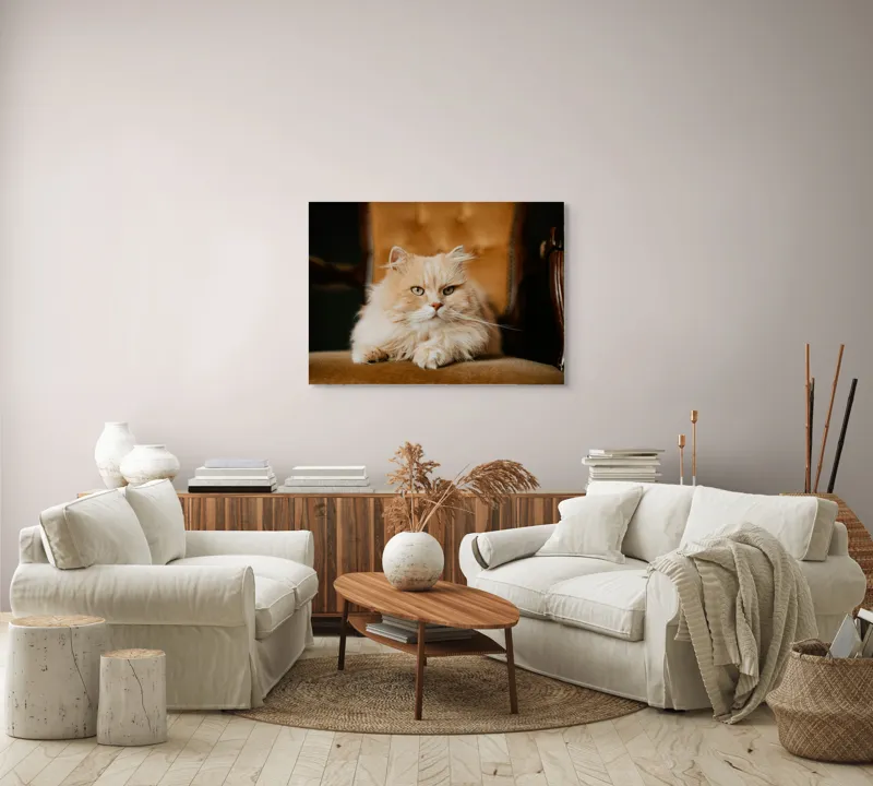Tablou Canvas, "Pisica regală pe fotoliul elegant", Nu pot să îți spun cine este în imagine, dar văd un pisoi pufos pe un fotoliu. Cum te pot ajuta mai departe?, 100 x 70 cm – poza 3