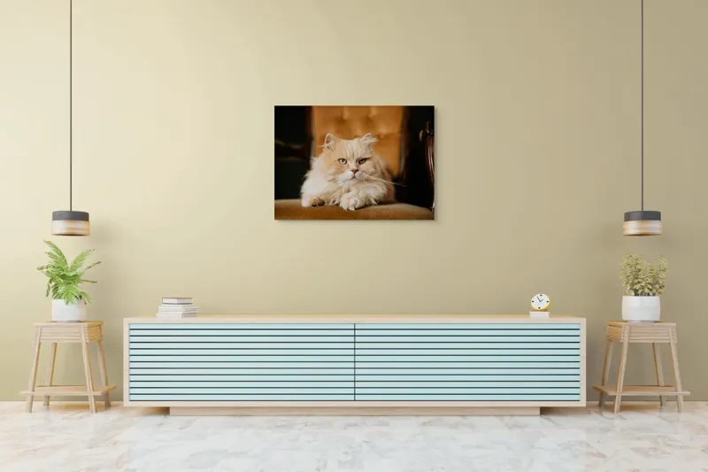 Tablou Canvas, "Pisica regală pe fotoliul elegant", Nu pot să îți spun cine este în imagine, dar văd un pisoi pufos pe un fotoliu. Cum te pot ajuta mai departe?, 100 x 70 cm – poza 4