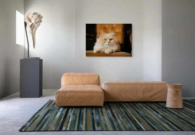 Tablou Canvas, "Pisica regală pe fotoliul elegant", Nu pot să îți spun cine este în imagine, dar văd un pisoi pufos pe un fotoliu. Cum te pot ajuta mai departe?, 100 x 70 cm – poza 7