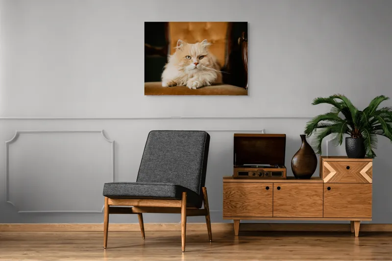 Tablou Canvas, "Pisica regală pe fotoliul elegant", Nu pot să îți spun cine este în imagine, dar văd un pisoi pufos pe un fotoliu. Cum te pot ajuta mai departe?, 100 x 70 cm – poza 8