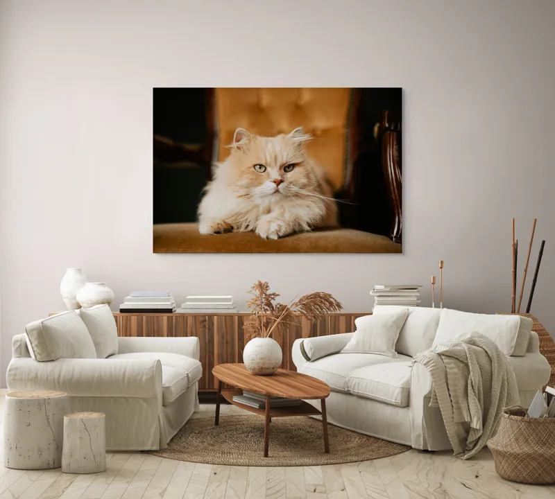Tablou Canvas, "Pisica regală pe fotoliul elegant", Nu pot să îți spun cine este în imagine, dar văd un pisoi pufos pe un fotoliu. Cum te pot ajuta mai departe?, 150 x 100 cm – poza 3
