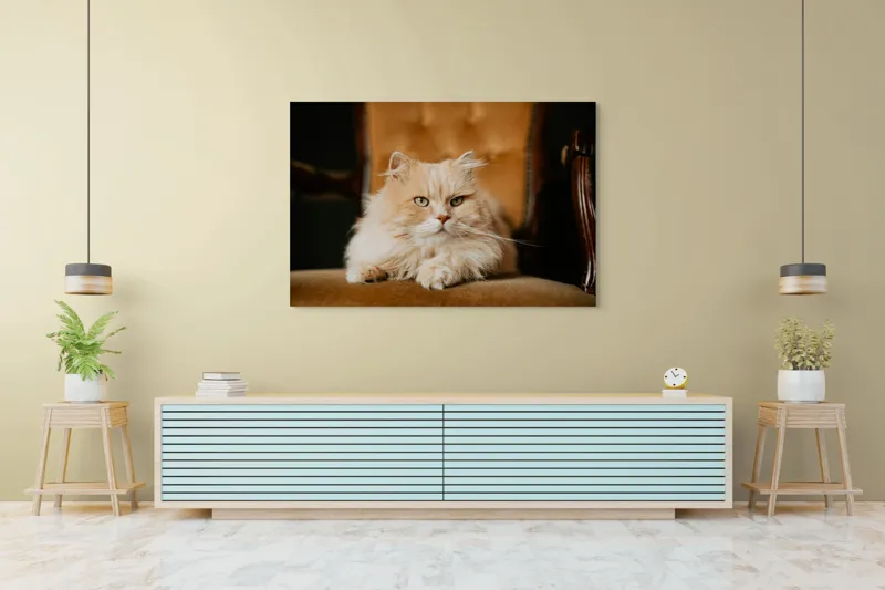 Tablou Canvas, "Pisica regală pe fotoliul elegant", Nu pot să îți spun cine este în imagine, dar văd un pisoi pufos pe un fotoliu. Cum te pot ajuta mai departe?, 150 x 100 cm – poza 6
