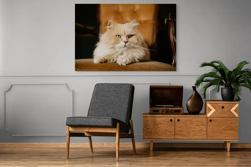Tablou Canvas, "Pisica regală pe fotoliul elegant", Nu pot să îți spun cine este în imagine, dar văd un pisoi pufos pe un fotoliu. Cum te pot ajuta mai departe?, 150 x 100 cm – poza 8